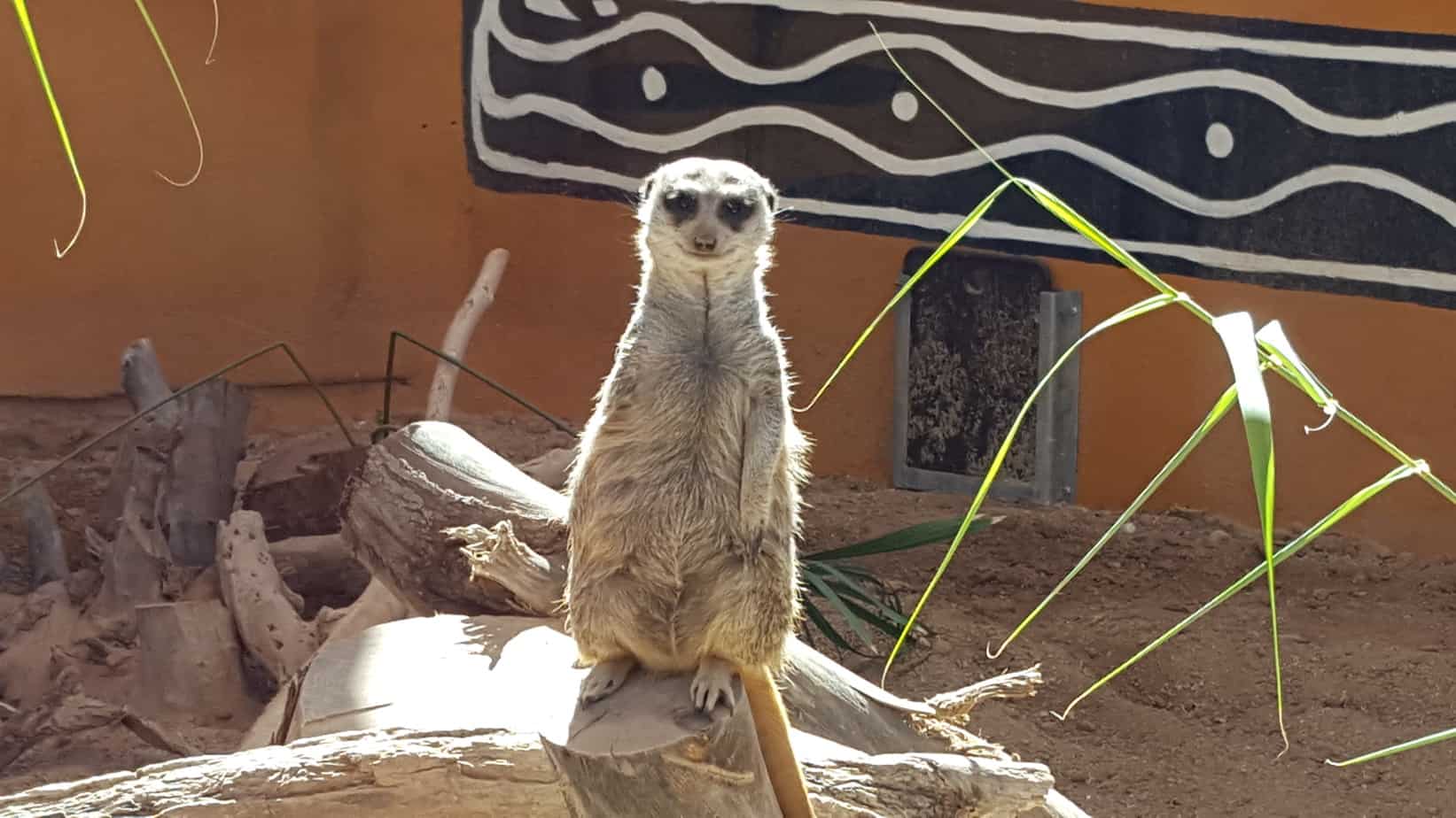 20190305_100933